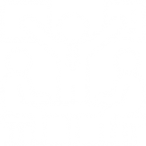 Partners